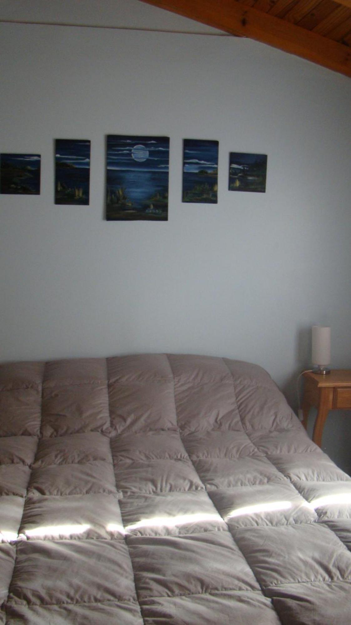 Hosteria Plas Y Coed Gwesty Gaiman Buitenkant foto